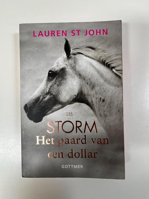 Lauren St John - Het paard van een dollar, Boeken, Kinderboeken | Jeugd | 10 tot 12 jaar, Zo goed als nieuw, Ophalen of Verzenden