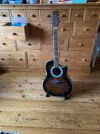 Gitaar Daytone, acoestisch met versterking, Ophalen, Zo goed als nieuw, Overige typen