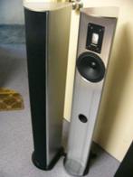 Piega P4L mk2 - Super Nette Staat!, Zo goed als nieuw, 60 tot 120 watt, Front, Rear of Stereo speakers, Ophalen