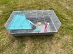 Hamsterkooi, Dieren en Toebehoren, Knaagdieren en Konijnen | Hokken en Kooien, Ophalen, Kooi, Gebruikt, 60 tot 90 cm