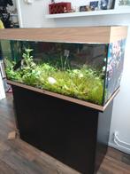 Juwel 180 aquarium 1 meter breed met kast en toebehoren, Dieren en Toebehoren, Vissen | Aquaria en Toebehoren, Ophalen, Leeg aquarium