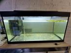 Tetra Aquarium 60 cm, Ophalen, Zo goed als nieuw, Leeg aquarium