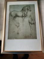 Schilderij Leonardo Da Vinci - Paardenstudie, Ophalen