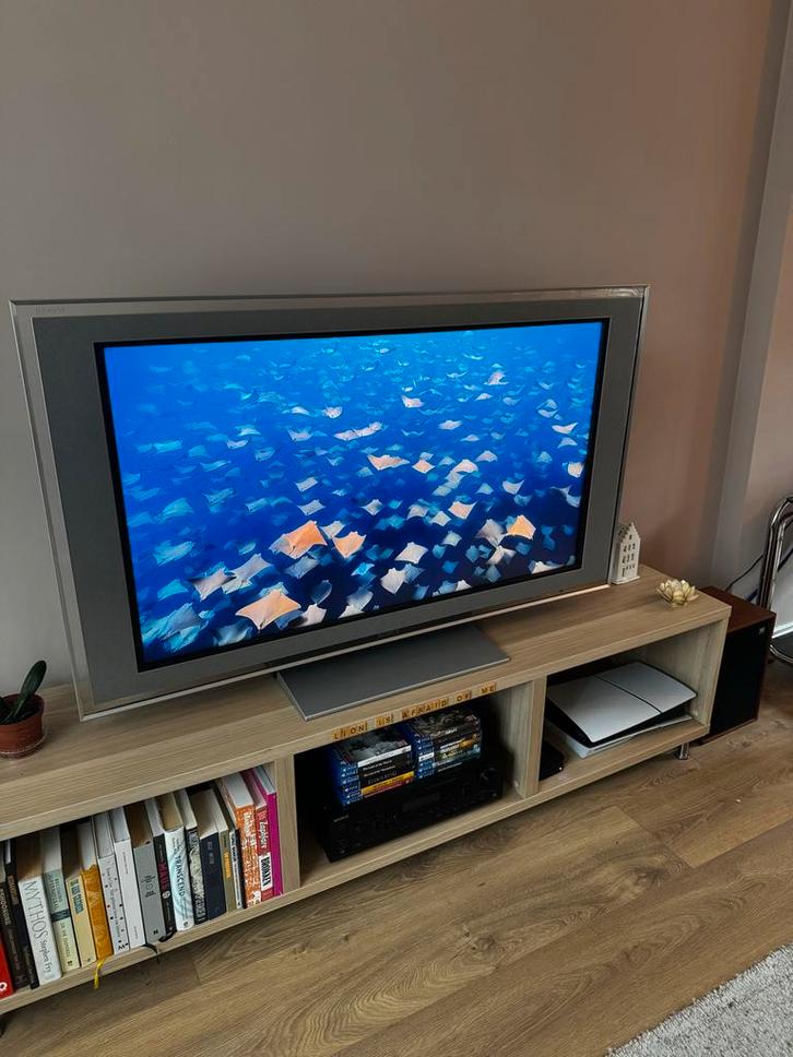 Sony Bravia 49 inch Full HD TV - Prachtige kleuren!, Audio, Tv en Foto, Televisies, Gebruikt, LED, 100 cm of meer, Full HD (1080p)