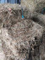Weidehooi, hooi laag in suiker, suikerarm met analyse, Dieren en Toebehoren, Ophalen, Vee