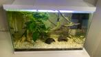 Aqarium, Ophalen of Verzenden, Leeg aquarium