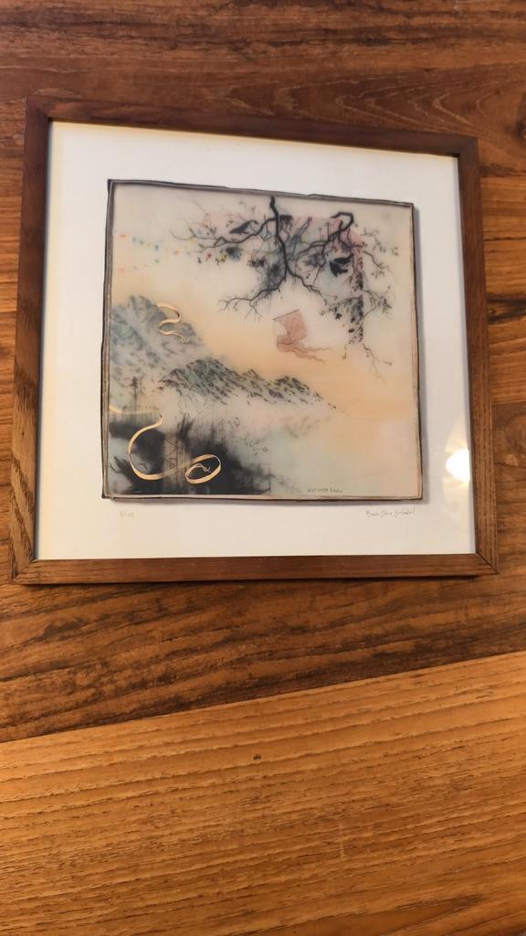 Brooks Shane Salzwedel - Genummerde Print Album Novo Amor, Antiek en Kunst, Kunst | Tekeningen en Foto's, Ophalen of Verzenden