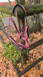 Roze halster Bucas, Dieren en Toebehoren, Paarden en Pony's | Hoofdstellen en Tuigage, Ophalen of Verzenden, Nieuw, Overige soorten
