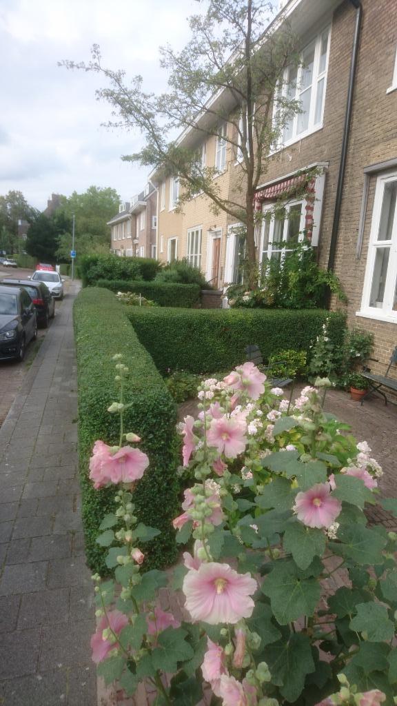 Tuinman, Diensten en Vakmensen, Tuinmannen en Stratenmakers, Bestrating, Hekwerk of Schuttingen, Tuin- of Vijveraanleg, Tuinonderhoud of Snoeiwerk