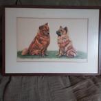 Chow chow schilderij, pastelkrijt, Ophalen of Verzenden