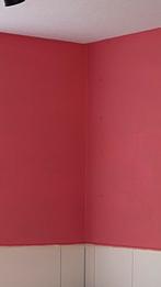 Roze Muurverf Praxis - 9 Liter, Doe-het-zelf en Verbouw, Verf, Beits en Lak, Ophalen, 5 tot 10 liter, Roze, Verf