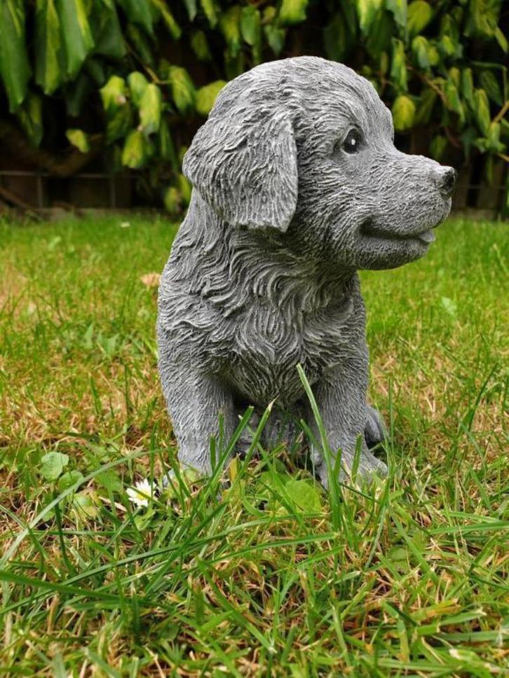 Golden Retriever puppy , sjaak, Antiek en Kunst, Kunst | Beelden en Houtsnijwerken, Ophalen of Verzenden
