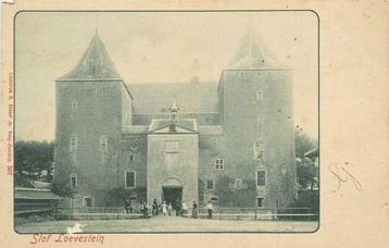 (300-366-033) Gorinchem Slot Loevestein beschikbaar voor biedingen