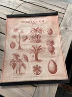 Brocante poster tropisch fruit koloniaal bruin, Ophalen of Verzenden, Canvas of Doek, A1 t/m A3, Rechthoekig Staand