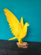 Een prachtige opgezette gele duif met verspreide vleugels!, Nieuw, Opgezet dier, Vogel, Ophalen of Verzenden