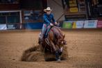 Whizzin Wimp - Reining Quarter, Dieren en Toebehoren, Minder dan 160 cm, Gechipt, Ruin, Westernpaard