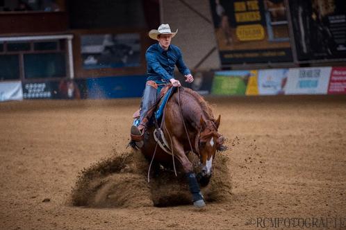 Whizzin Wimp - Reining Quarter, Dieren en Toebehoren, Paarden, Ruin, Minder dan 160 cm, 11 jaar of ouder, Westernpaard, Met stamboom