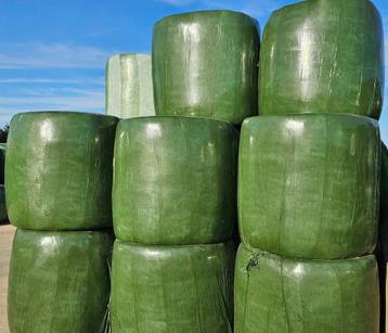 Luzerne silage, gesneden ruwvoer in ronde wikkelbalen beschikbaar voor biedingen