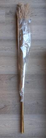 Palmgras NIEUW!, Ophalen, Nieuw