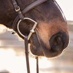 D-Trens Sprenger Dubbelgebroken 16mm 13.5 cm, Dieren en Toebehoren, Ophalen of Verzenden, Zo goed als nieuw, Dressuur