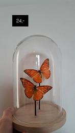 Vlinders in stolp, Ophalen of Verzenden