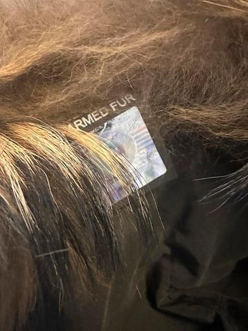 Airforce Winterjas Dames Maat L zwart beschikbaar voor biedingen