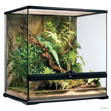 GEZOCHT: terrariums beschikbaar voor biedingen
