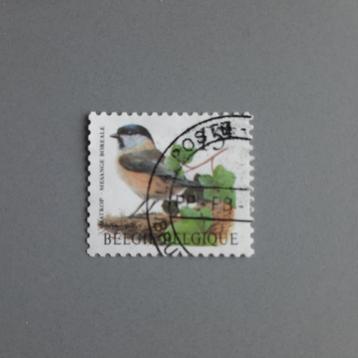 Belgische postzegels vogels Buzin gestempeld beschikbaar voor biedingen