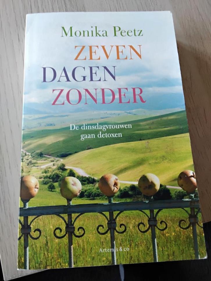 Monika Peetz - Zeven dagen zonder, Boeken, Literatuur, Zo goed als nieuw, Ophalen of Verzenden
