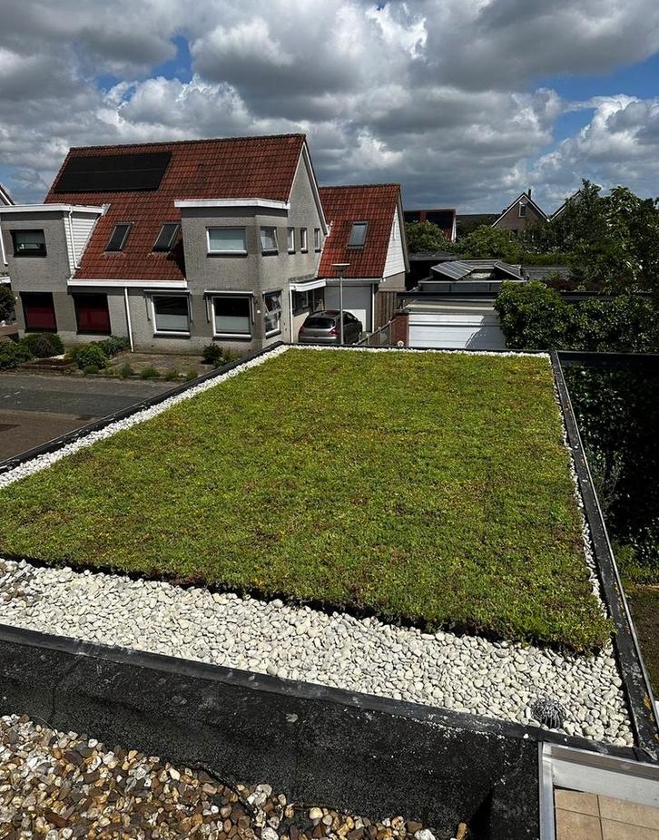 Groendak Sedum cassettes maak  zelf uw groene dak, Tuin en Terras, Planten | Tuinplanten, Volle zon, Ophalen of Verzenden