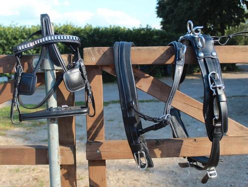 Te koop mini shetlander mentuig zwart blauw doorstikt nieuw, Dieren en Toebehoren, Paarden en Pony's | Hoofdstellen en Tuigage