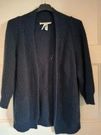 Dame Blanche Anvers donkerblauw vest met glitterdraad  (84.), Kleding | Dames, Maat 38/40 (M), Steenbergen, Blauw, Shop@wesell4u.nl