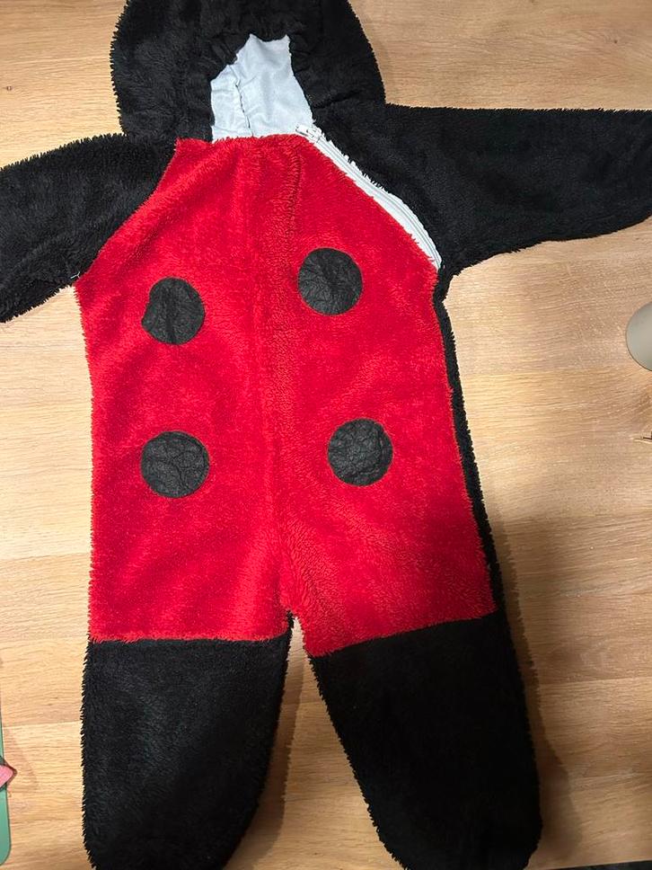 Lieveheersbeestje Carnavalspak - Maat Onbekend, Kinderen en Baby's, Carnavalskleding en Verkleedspullen, Gebruikt, Jongen of Meisje