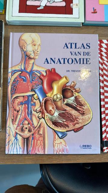 Atlas van de anatomie beschikbaar voor biedingen