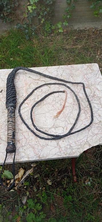 Vintage Bullwhip / Zweep beschikbaar voor biedingen