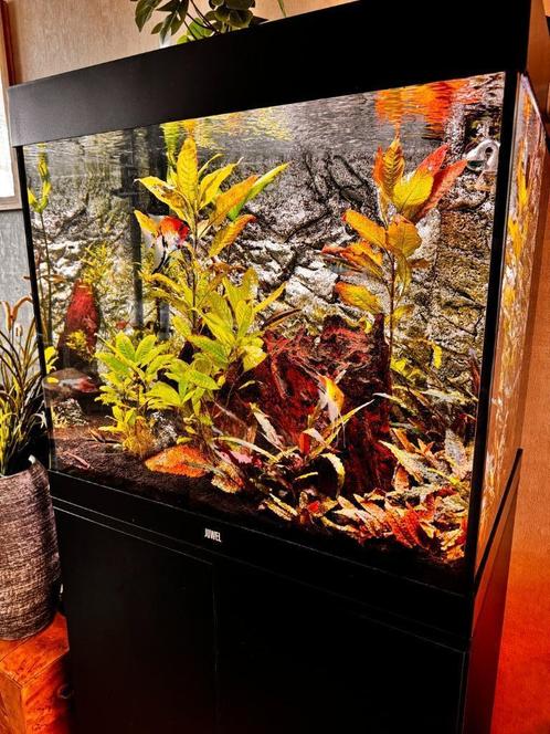 Juwel Lido 200. Compleet en Perfect Draaiend Aquarium, Dieren en Toebehoren, Vissen | Aquaria en Toebehoren, Zo goed als nieuw