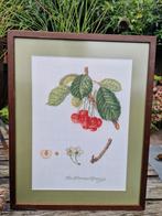 Mooi borduurwerk in lijst - zie ook mijn andere borduurwerk, Ophalen