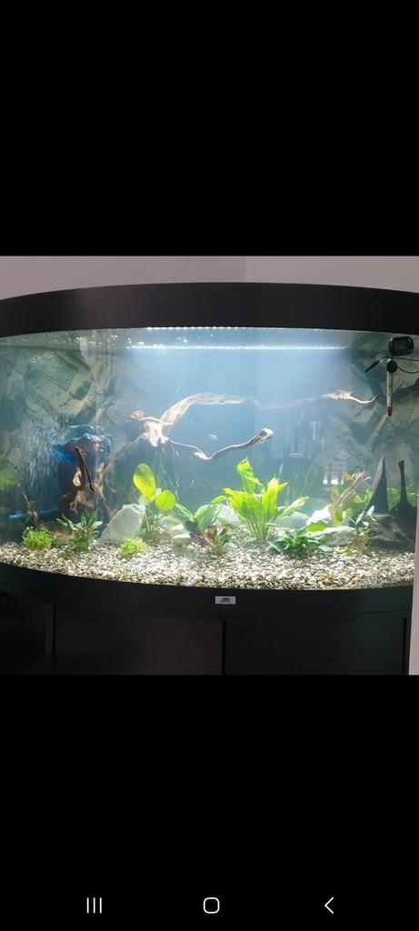Trigon Aquarium juwel 350 te koop, Dieren en Toebehoren, Vissen | Aquaria en Toebehoren, Gebruikt, Leeg aquarium, Ophalen