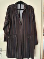 Plus Basics pak maat 46/48, Kleding | Dames, Ophalen of Verzenden, Zo goed als nieuw, Blauw, Overige typen