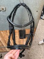 NIEUW Marengo hoofdstel, Dieren en Toebehoren, Ophalen of Verzenden, Nieuw, Springen