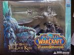 World of warcraft: lich king deluxe collector figure, 1 speler, Ophalen of Verzenden, Zo goed als nieuw, Role Playing Game (Rpg)
