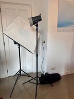 Elinchrom D-Lite RX 2/4 Flitsset, Ophalen, Zo goed als nieuw, Lamp of Flitsset