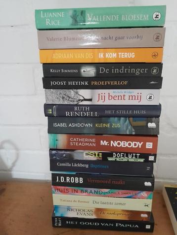 Stapel van 16 Romans & Thrillers voor maar € 7,50 beschikbaar voor biedingen