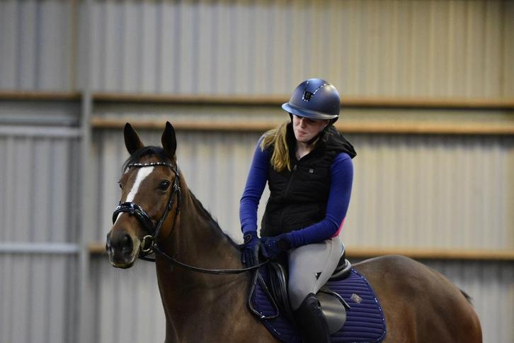 6 jarige brave merrie, Dieren en Toebehoren, Paarden, Merrie, 3 tot 6 jaar, Ontwormd