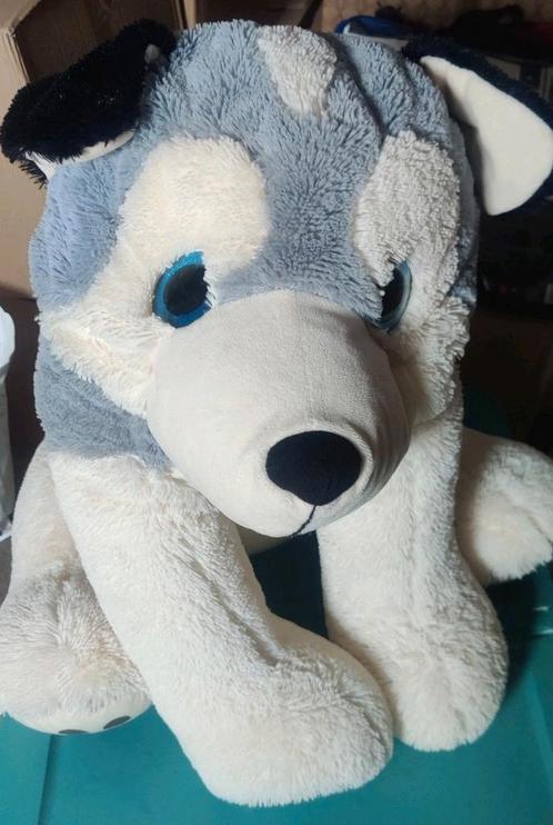 XXL Husky Knuffel Zoekt Huisje, Kinderen en Baby's, Speelgoed | Knuffels en Pluche, Gebruikt, Hond, Ophalen