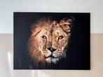 Tweeluik Leeuw en leeuwin Schilderij Canvas 60x90, Huis en Inrichting, Woonaccessoires | Schilderijen, Tekeningen en Foto's, Ophalen