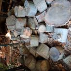 Eiken hout 3 bomen schatting 10 kuub, Minder dan 3 m³, Ophalen of Verzenden