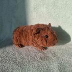 2 baby cavia beertjes, Dieren en Toebehoren, Knaagdieren, Cavia, Mannelijk, Januari, Tam