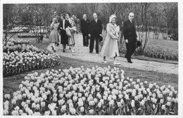 (304-210-033) Lisse HM de Koningin bezocht met de 3 oudste P beschikbaar voor biedingen