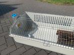 Cavia kooi, Dieren en Toebehoren, Kooi, 75 tot 110 cm, Cavia, Ophalen